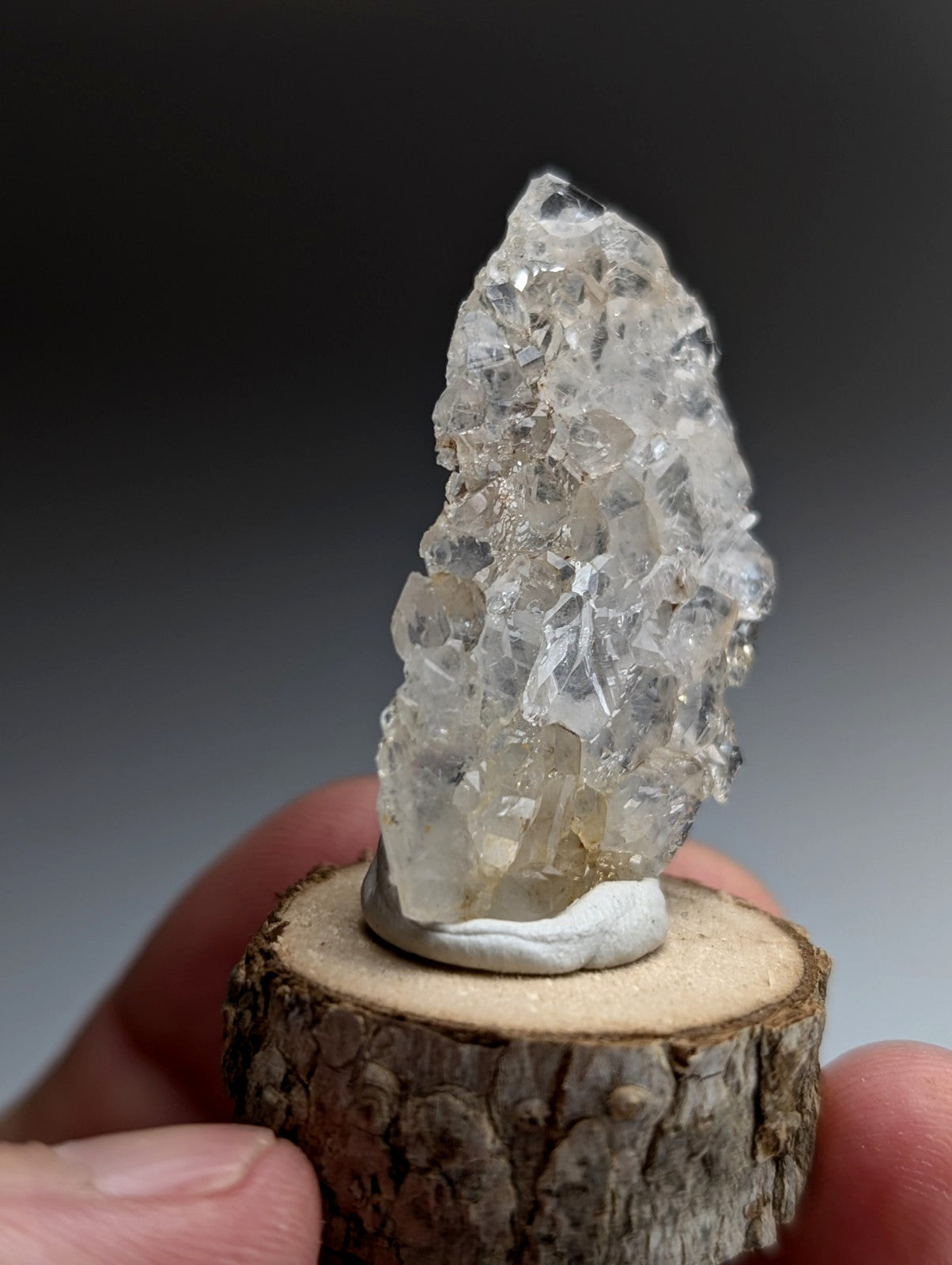 A+ Unique Quartz, Old Stock, Montgomery County, Arkansas, w/ natural wood base
