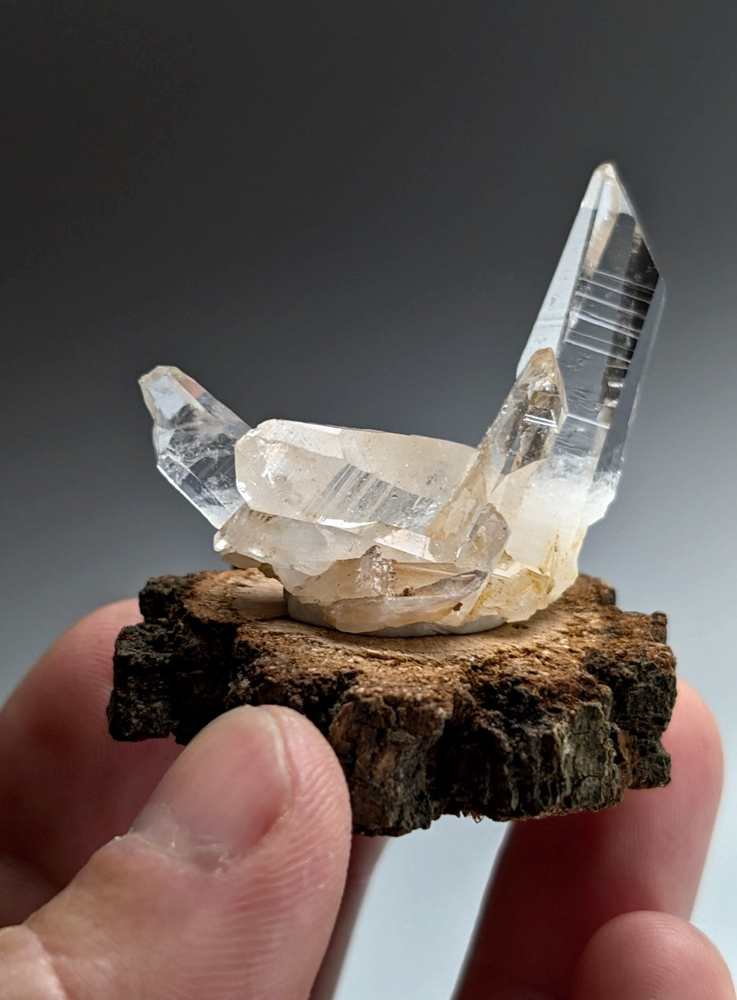 A+ Quartz Cluster, Old Stock, Montgomery County, Arkansas, w/ natural wood base