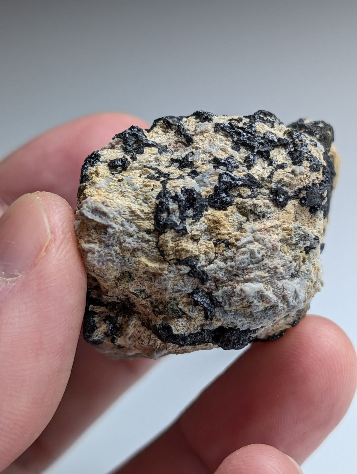 Garnet on Syenite matrix, Magnet Cove, Hot Spring County, Arkansas, Old Stock