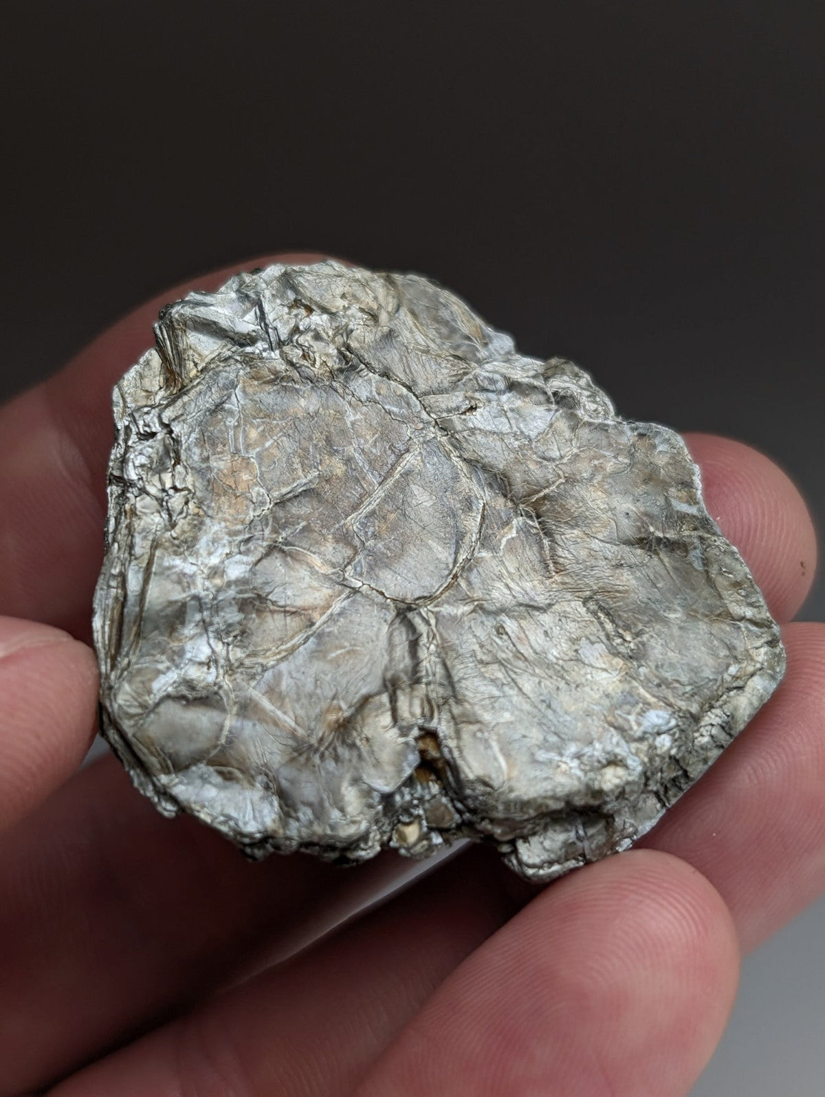 Green Mica, Magnet Cove, Hot Spring County, Arkansas, Unique Old Stock