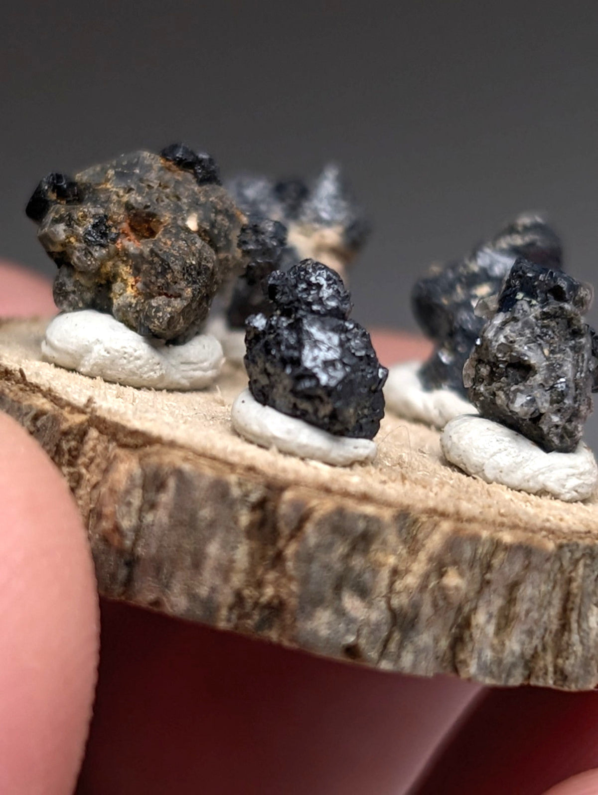 Set of 5 Brookite + Smoky Quartz, Magnet Cove, Arkansas, Old Stock, + wood stand