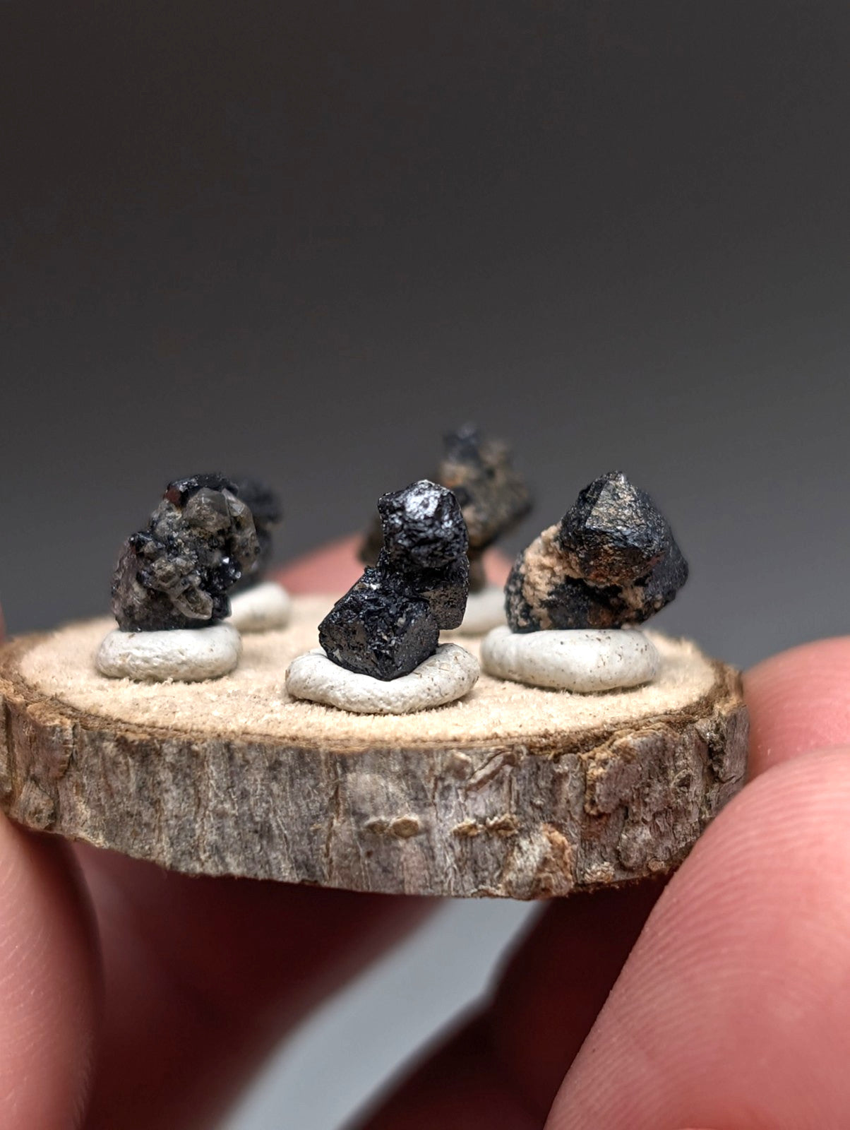Set of 5 Brookite + Smoky Quartz, Magnet Cove, Arkansas, Old Stock, + wood stand