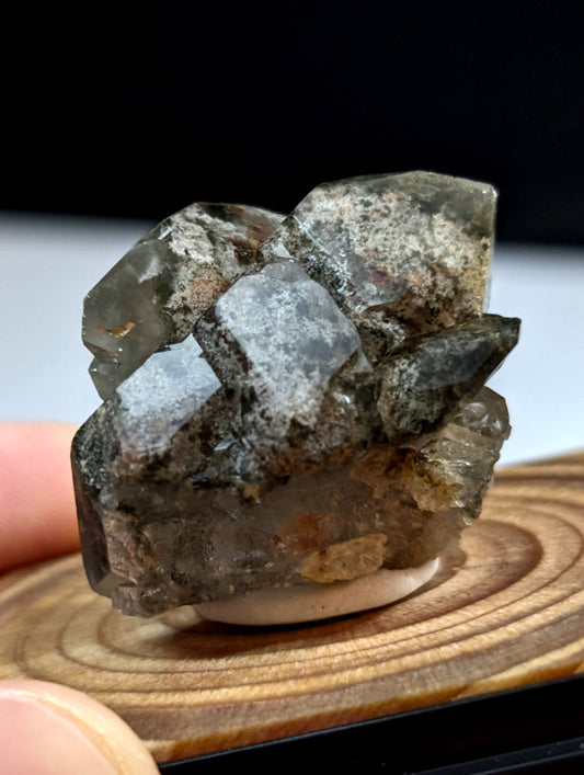 UNIQUE Phantom Quartz, w/ wood mount + photo case  - Garland County, Arkansas