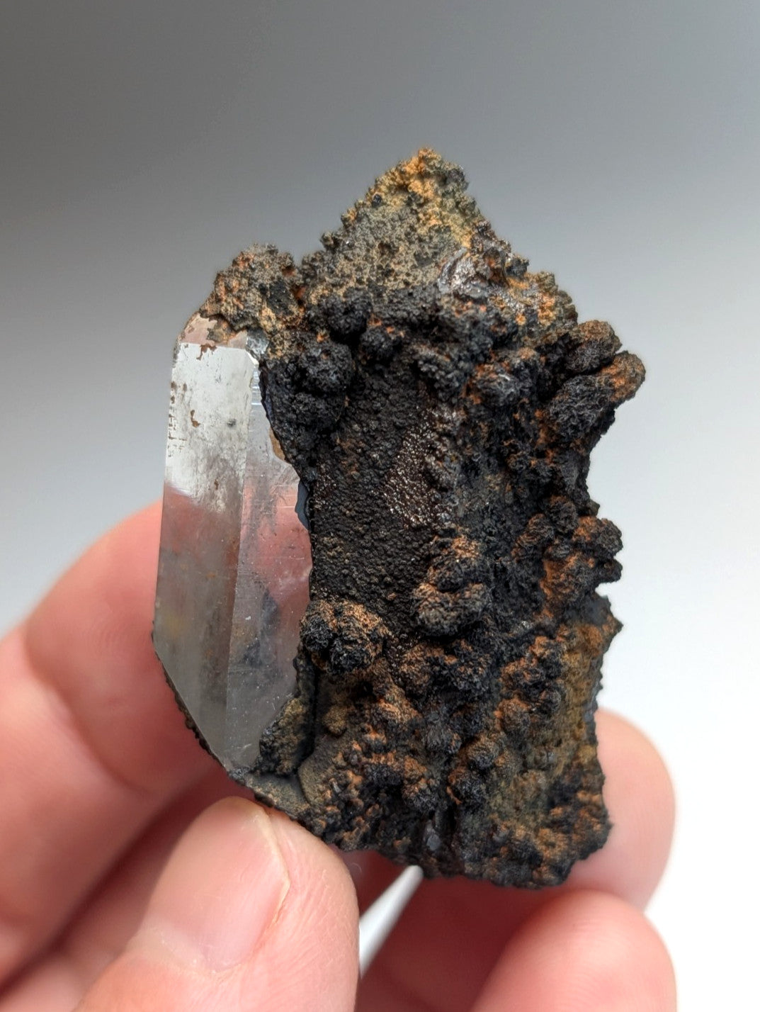 VERY Unique Goethite-capped Quartz Crystal, Montgomery County, Arkansas, USA