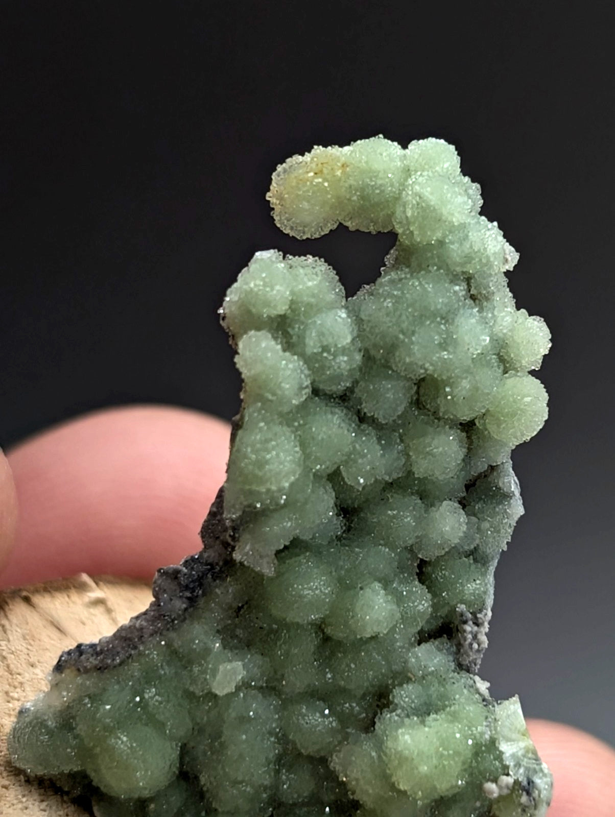 Very Unique Wavellite, Montgomery County, Arkansas, USA, w/ wood mount