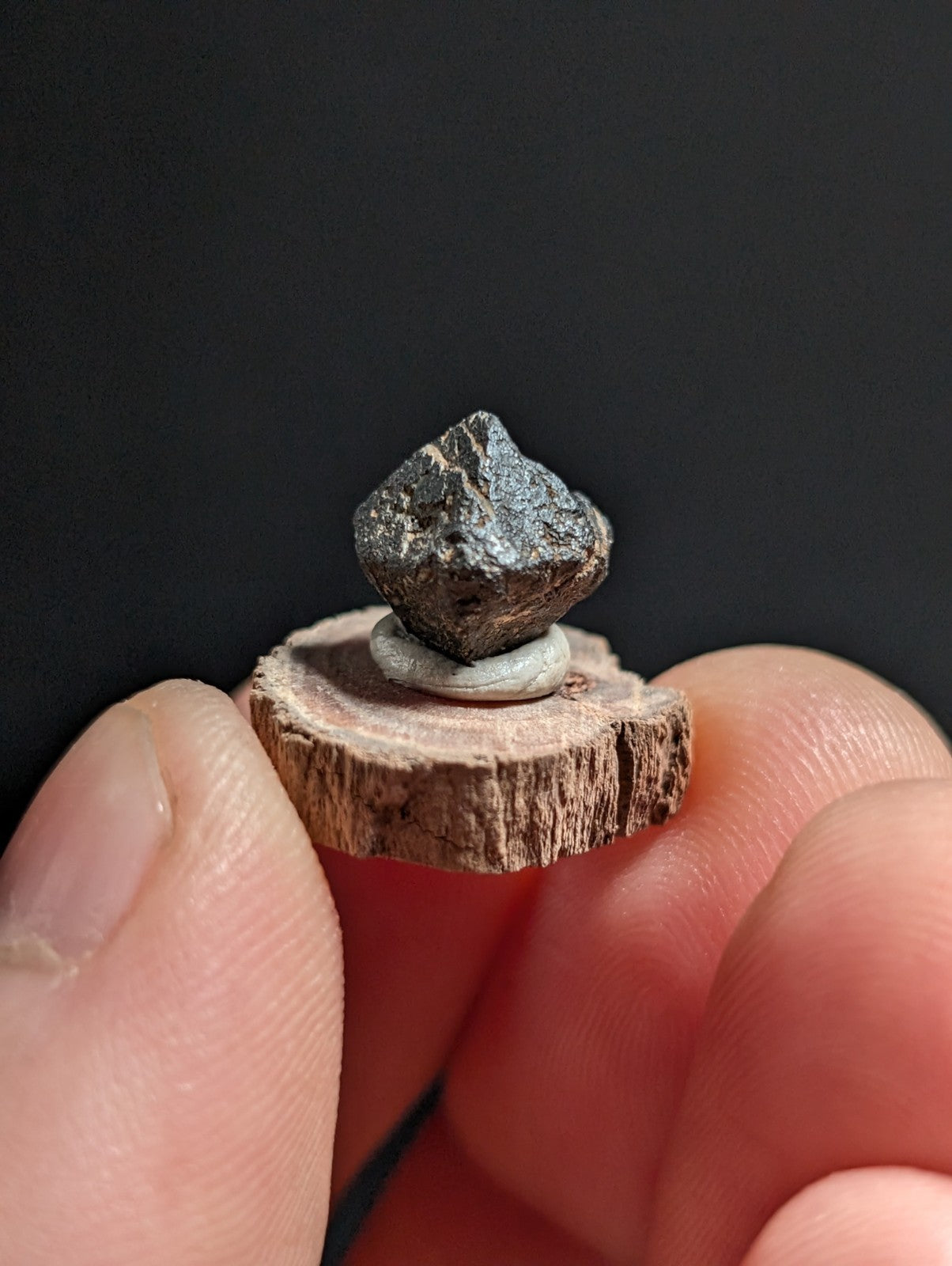 Magnetite crystal, Magnet Cove, Hot Spring Co. Arkansas, Old Stock, + wood stand