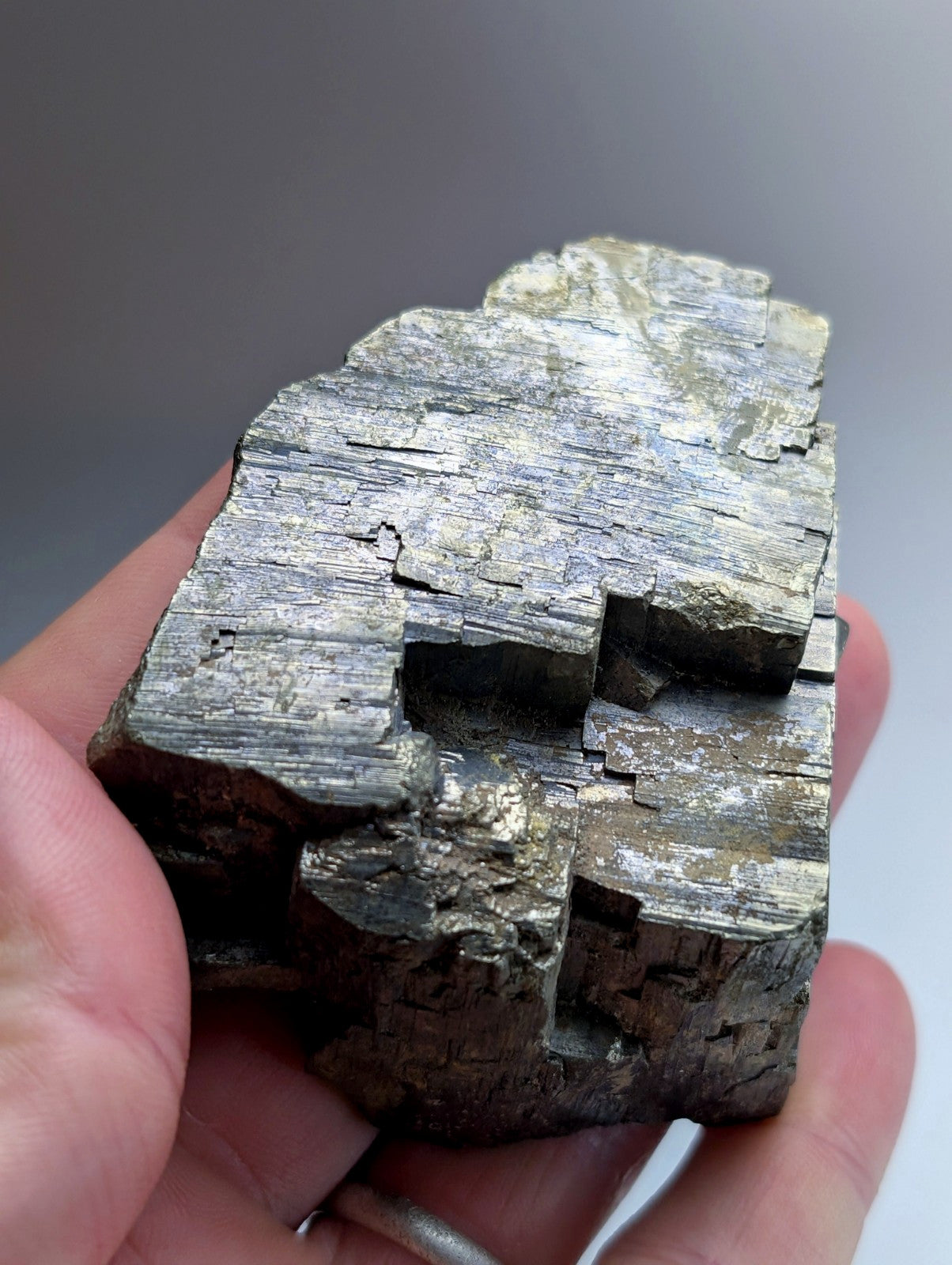 Pyrite with Molybdenum, Magnet Cove, Arkansas, USA, w/ wood display, ex Delinde