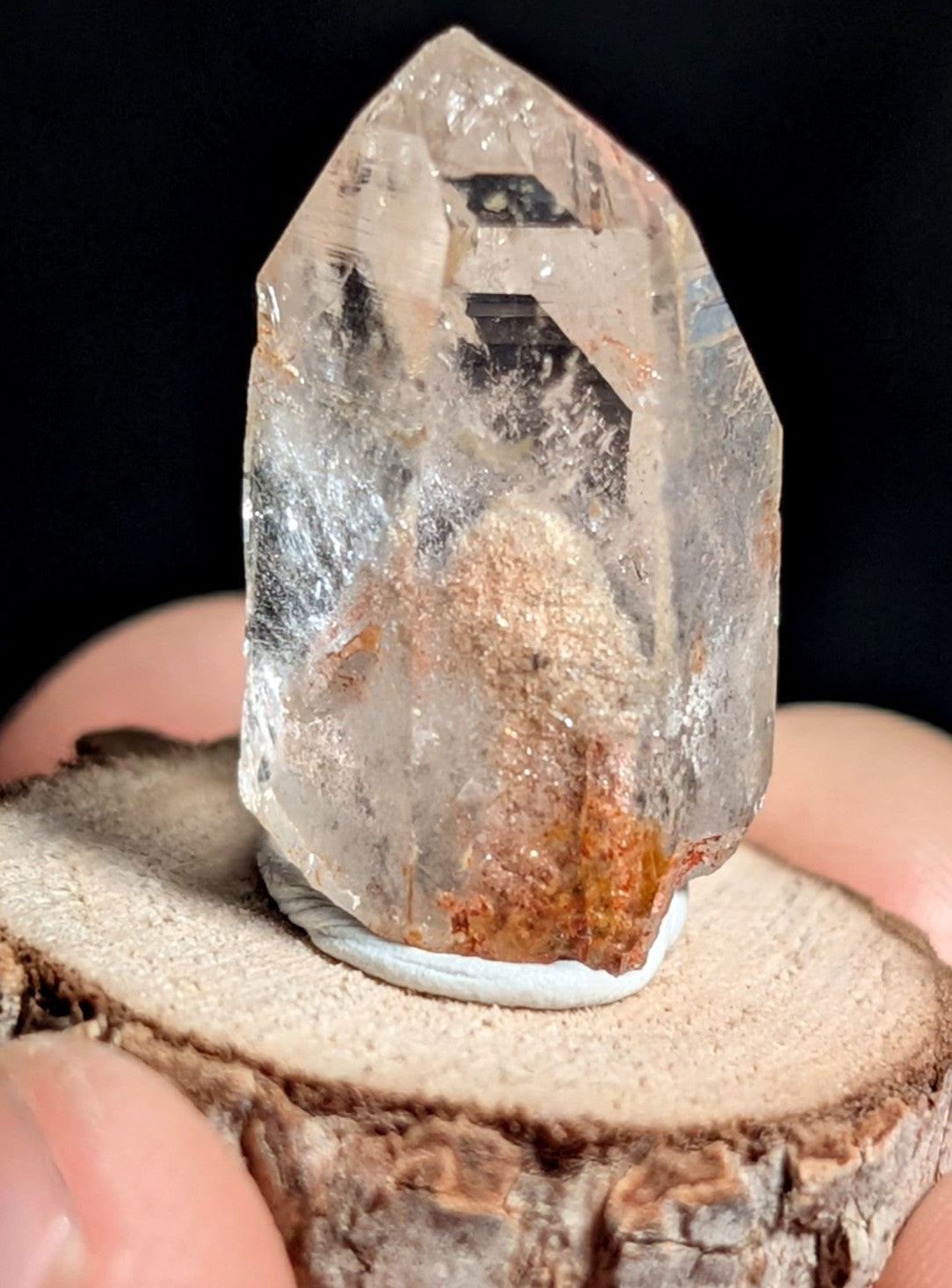 A+ Phantom Quartz, Old Stock, Montgomery County, Arkansas, w/ natural wood base