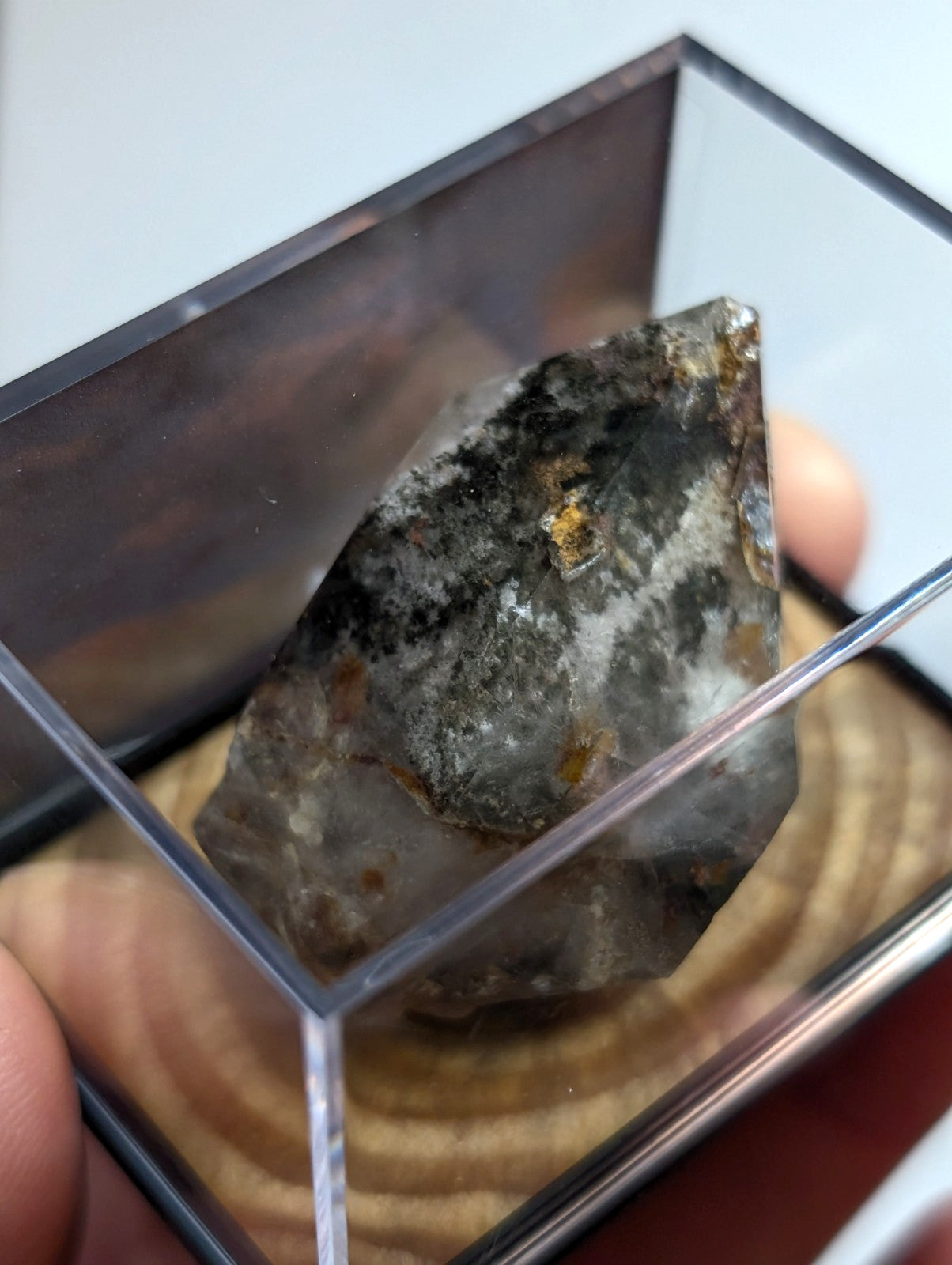 UNIQUE Phantom Quartz, w/ wood mount + photo case  - Garland County, Arkansas