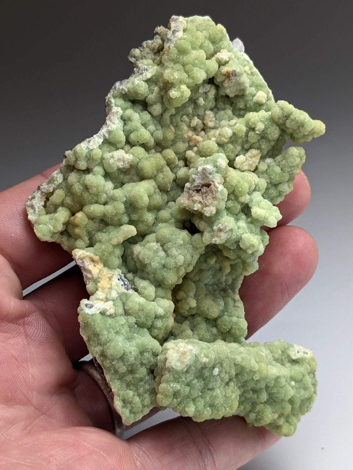 A+ Large FluorWavellite - Intermixed With SiO2- Mauldin Mountain, Arkansas, ooak