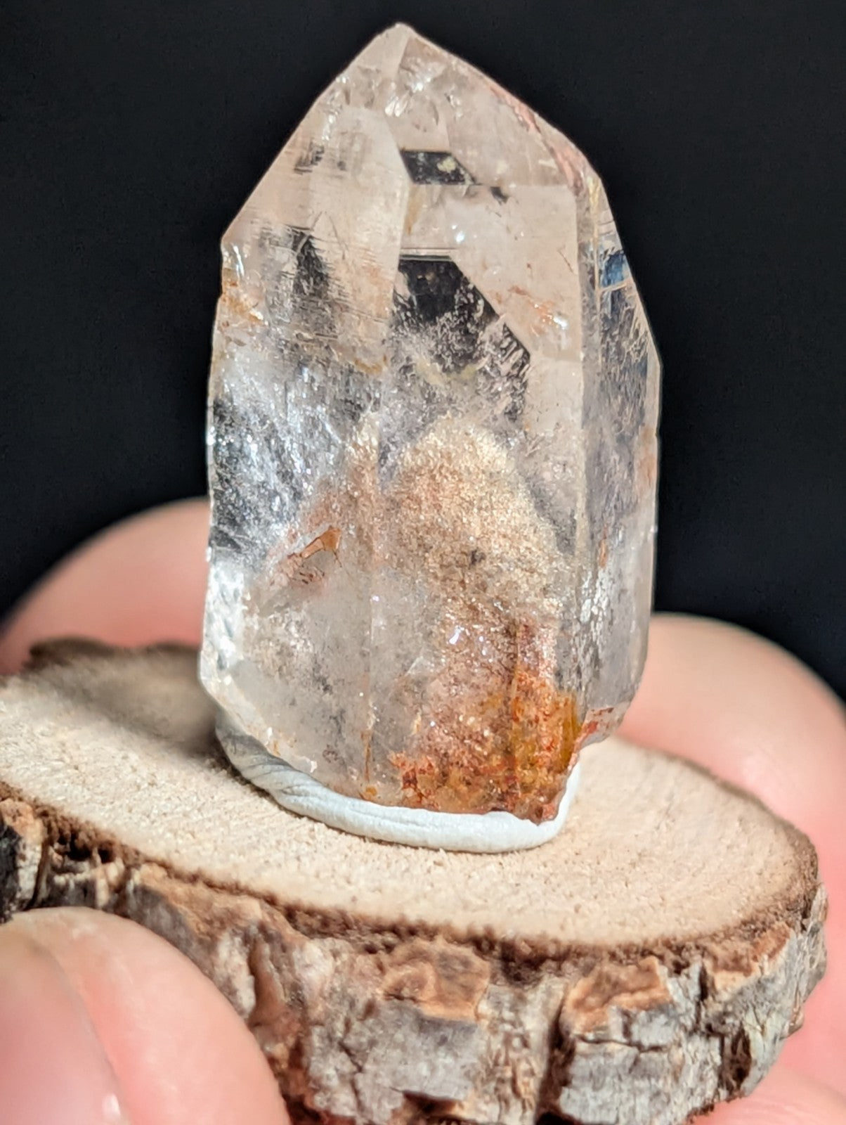 A+ Phantom Quartz, Old Stock, Montgomery County, Arkansas, w/ natural wood base