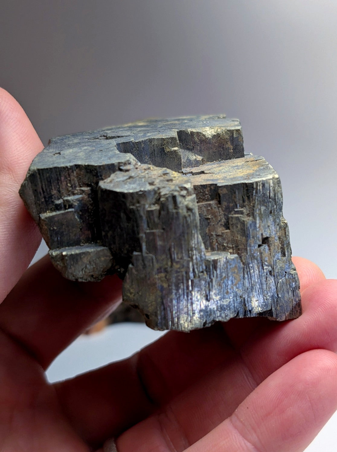 Pyrite with Molybdenum, Magnet Cove, Arkansas, USA, w/ wood display, ex Delinde