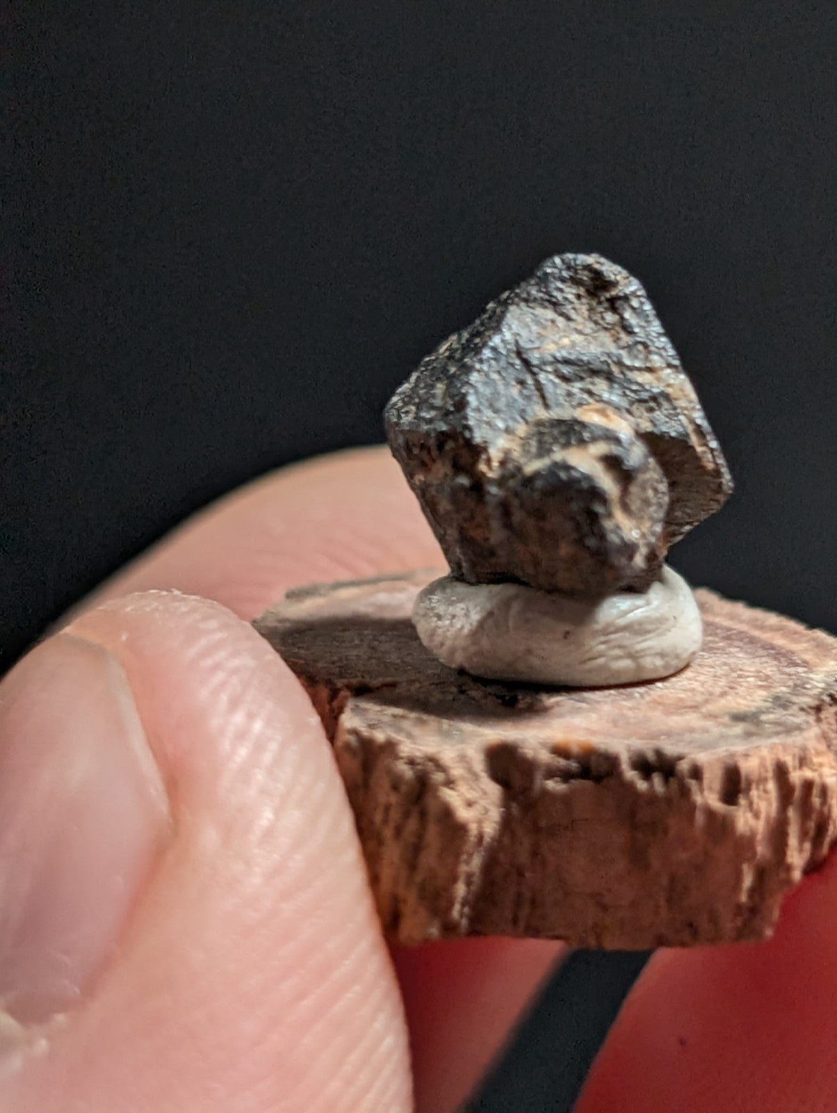Magnetite crystal, Magnet Cove, Hot Spring Co. Arkansas, Old Stock, + wood stand