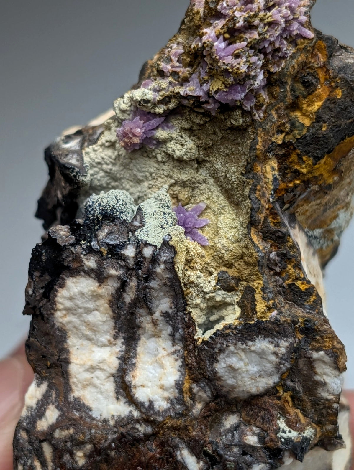 Super Rare Strengite + Kidwellite, etc, Coon Creek Mine, Polk Co, Arkansas, A+++