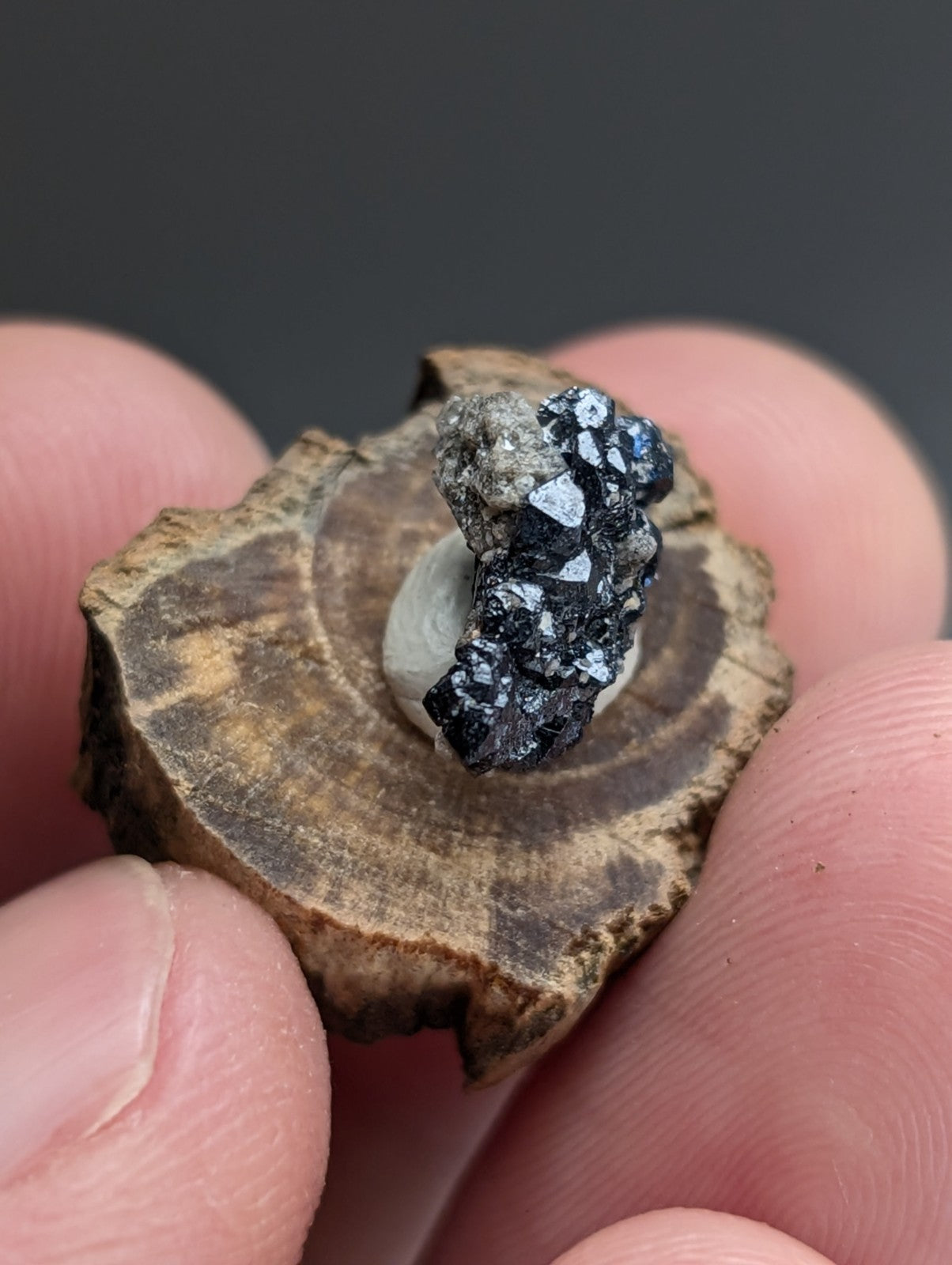 A+ Unique Brookite Crystal, Magnet Cove, Arkansas, Old Stock, + wood stand