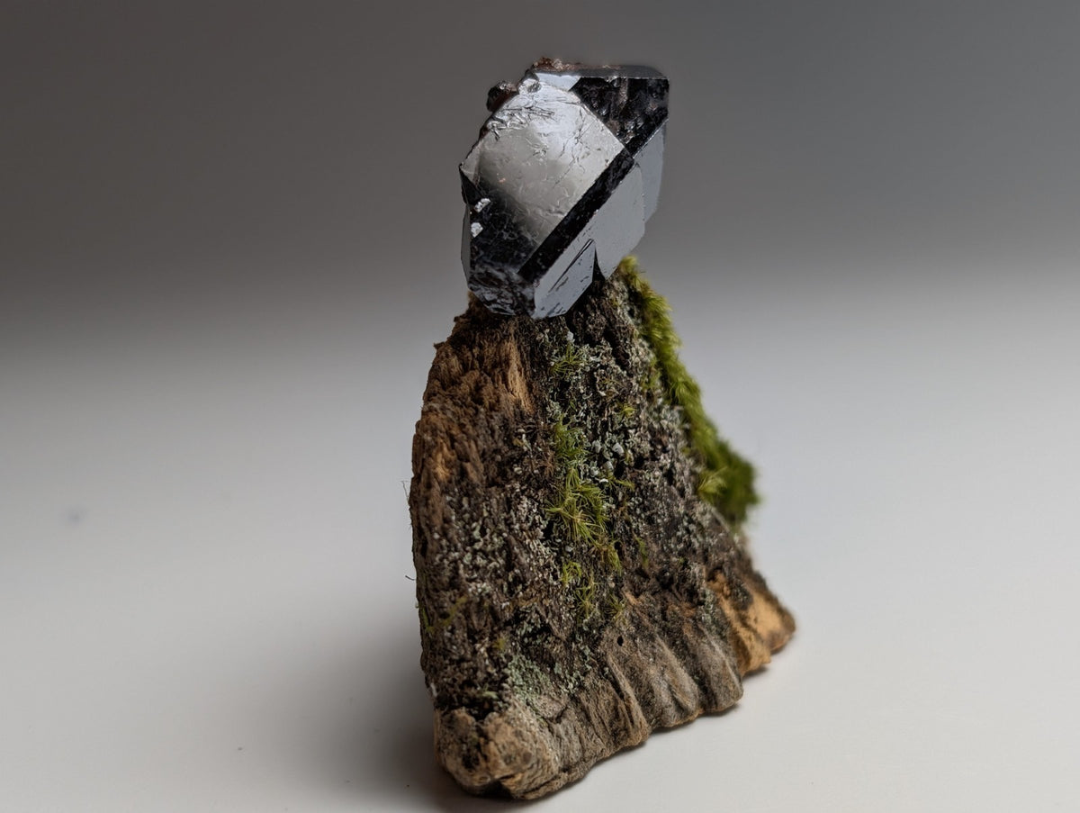 A+ Twinned Rutile Crystal, Graves Mountain, Georgia, USA,  Rare Old Stock