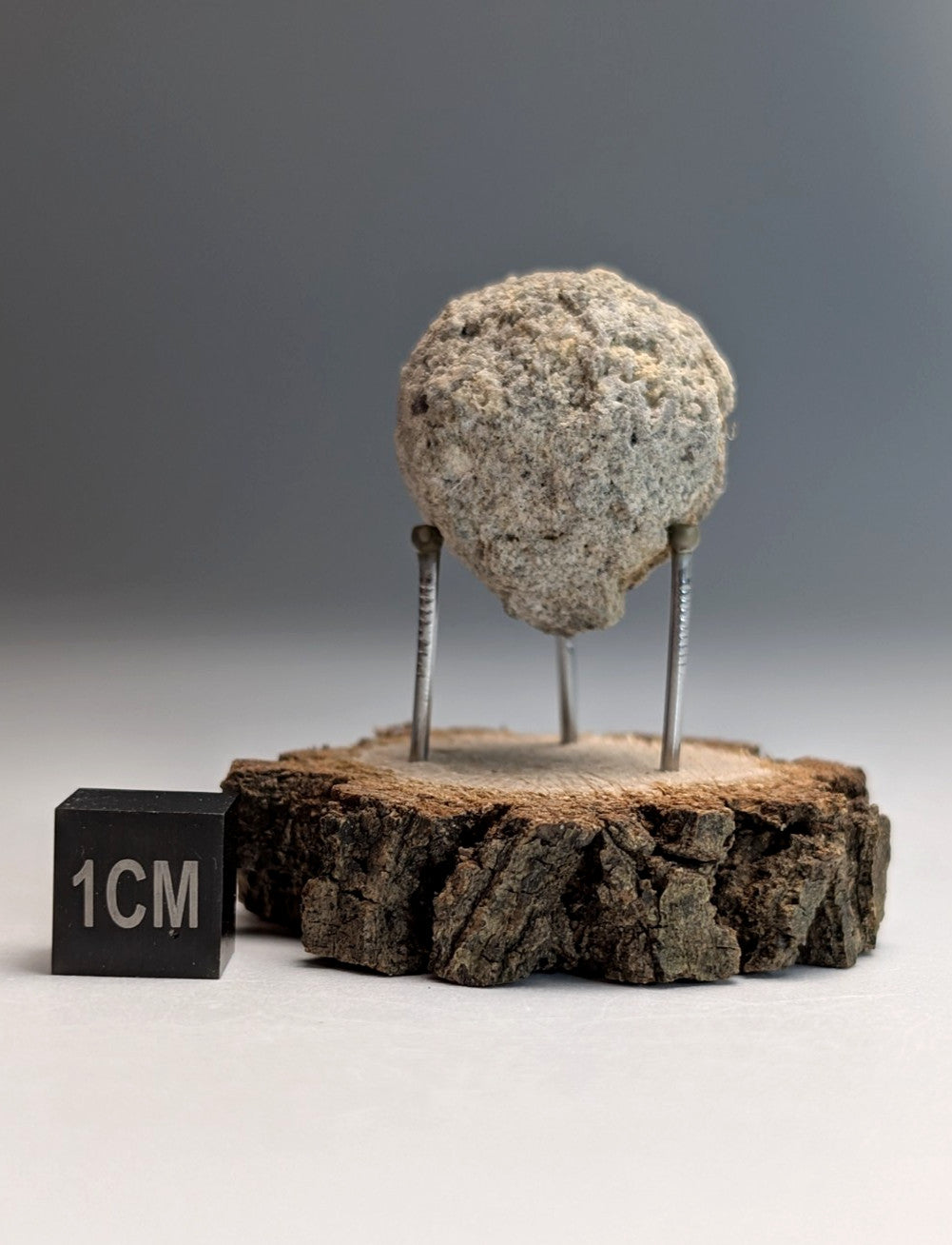 Pseudoleucite, Magnet Cove, Hot Spring County, Arkansas, Old Stock, w/wood stand