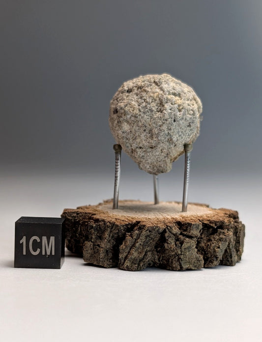 Pseudoleucite, Magnet Cove, Hot Spring County, Arkansas, Old Stock, w/wood stand