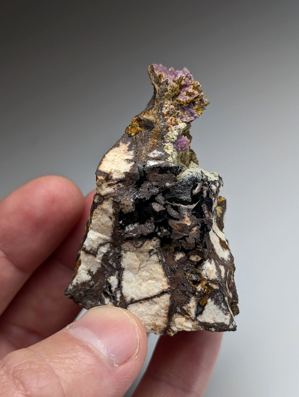 Super Rare Strengite + Kidwellite, etc, Coon Creek Mine, Polk Co, Arkansas, A+++