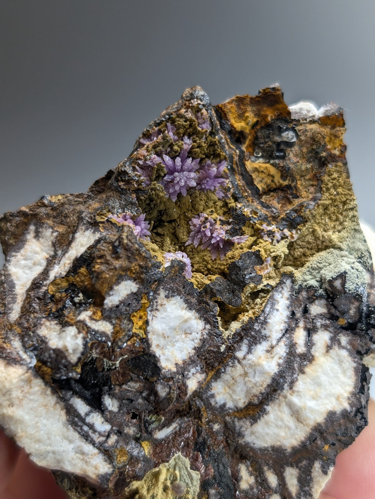 Super Rare Strengite + Kidwellite, etc, Coon Creek Mine, Polk Co, Arkansas, A+++