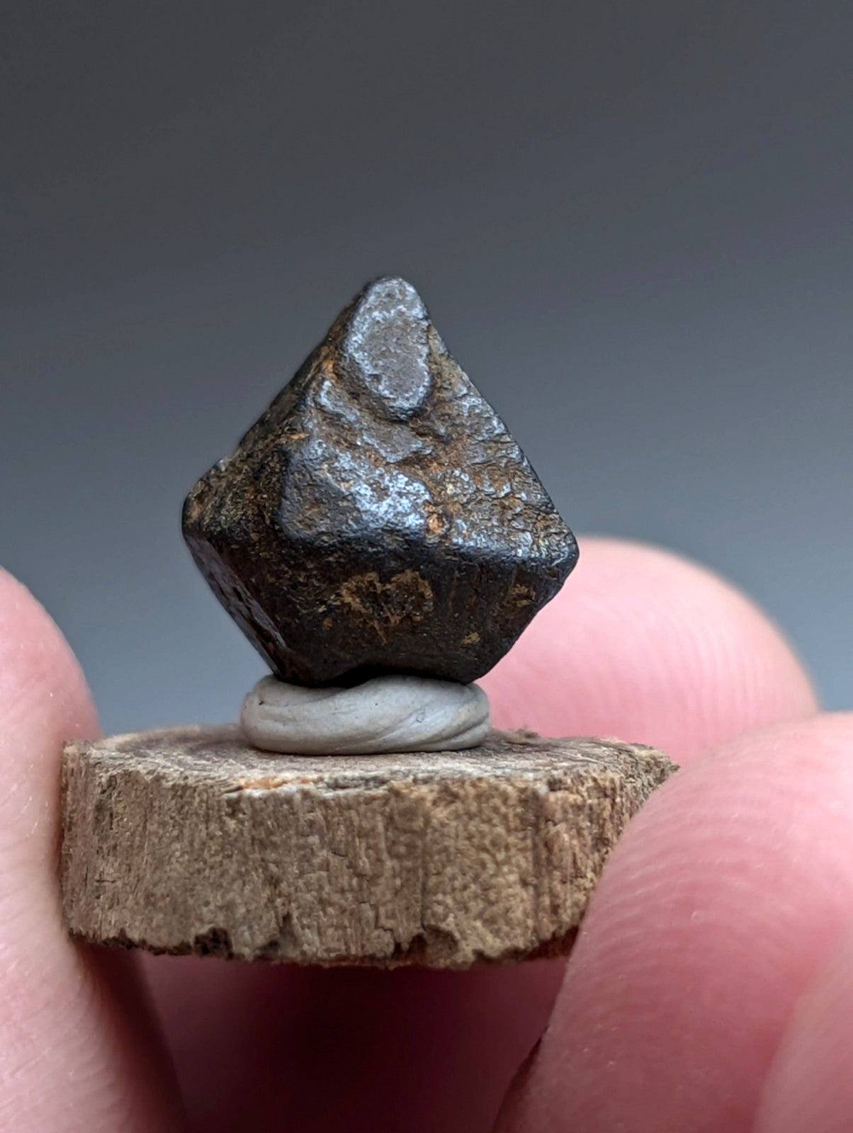 Magnetite Crystal, Magnet Cove Igneous Complex, Arkansas, Old Stock, +wood stand