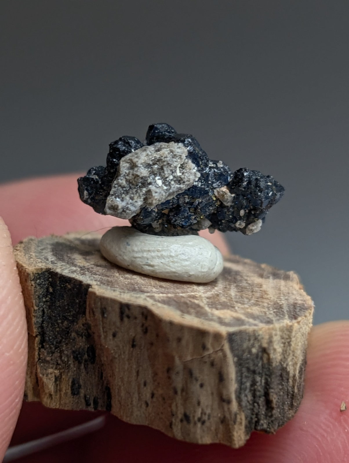 A+ Unique Brookite Crystal, Magnet Cove, Arkansas, Old Stock, + wood stand