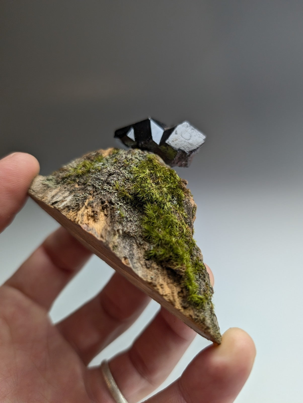 A+ Twinned Rutile Crystal, Graves Mountain, Georgia, USA,  Rare Old Stock