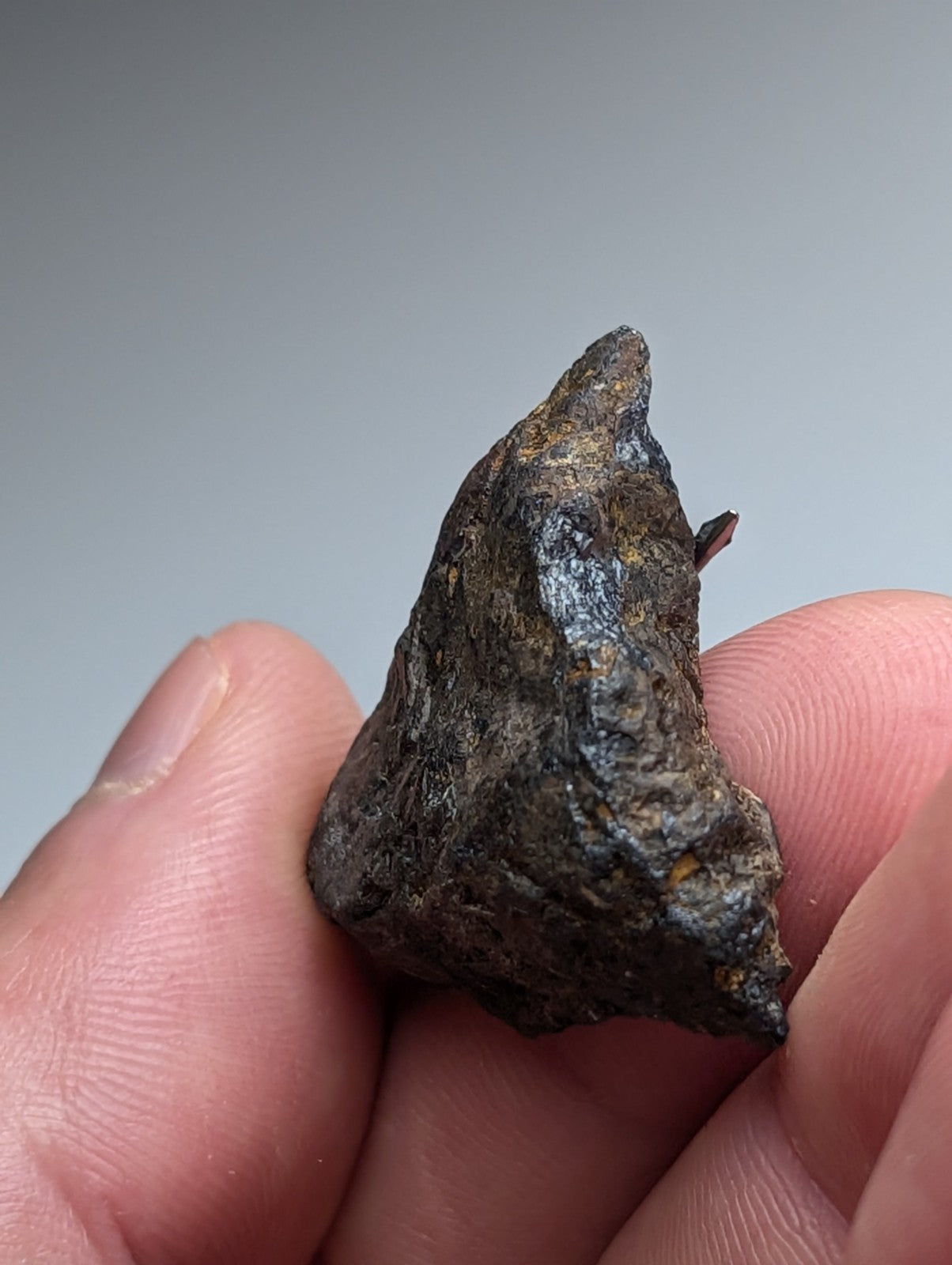 Magnetite (Lodestone), Magnet Cove, Arkansas, Old Stock, natural magnet
