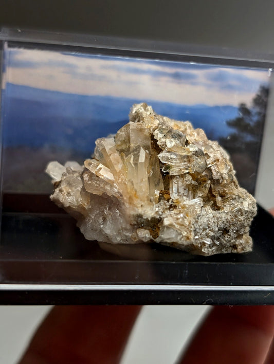 Quartz Crystal Cluster, w/ photo case/mount,  Saline County, Arkansas, Old Stock