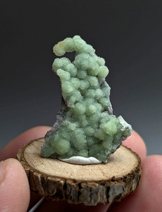 Very Unique Wavellite, Montgomery County, Arkansas, USA, w/ wood mount