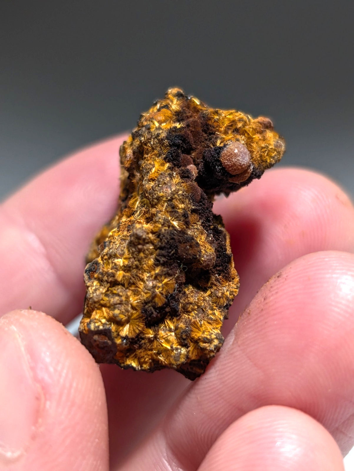 VERY RARE Strengite + Cacoxenite- Coon Creek, Polk County, Arkansas