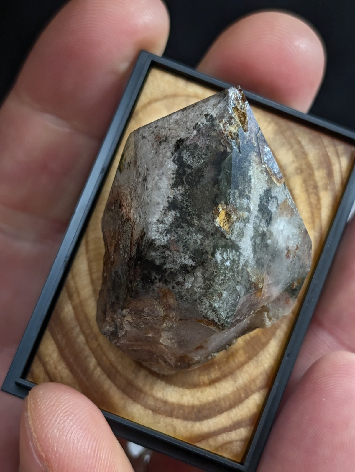 UNIQUE Phantom Quartz, w/ wood mount + photo case  - Garland County, Arkansas