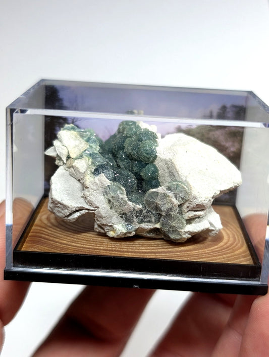 Wavellite, w/ wood mount + photo case - Old Stock - Garland County, Arkansas