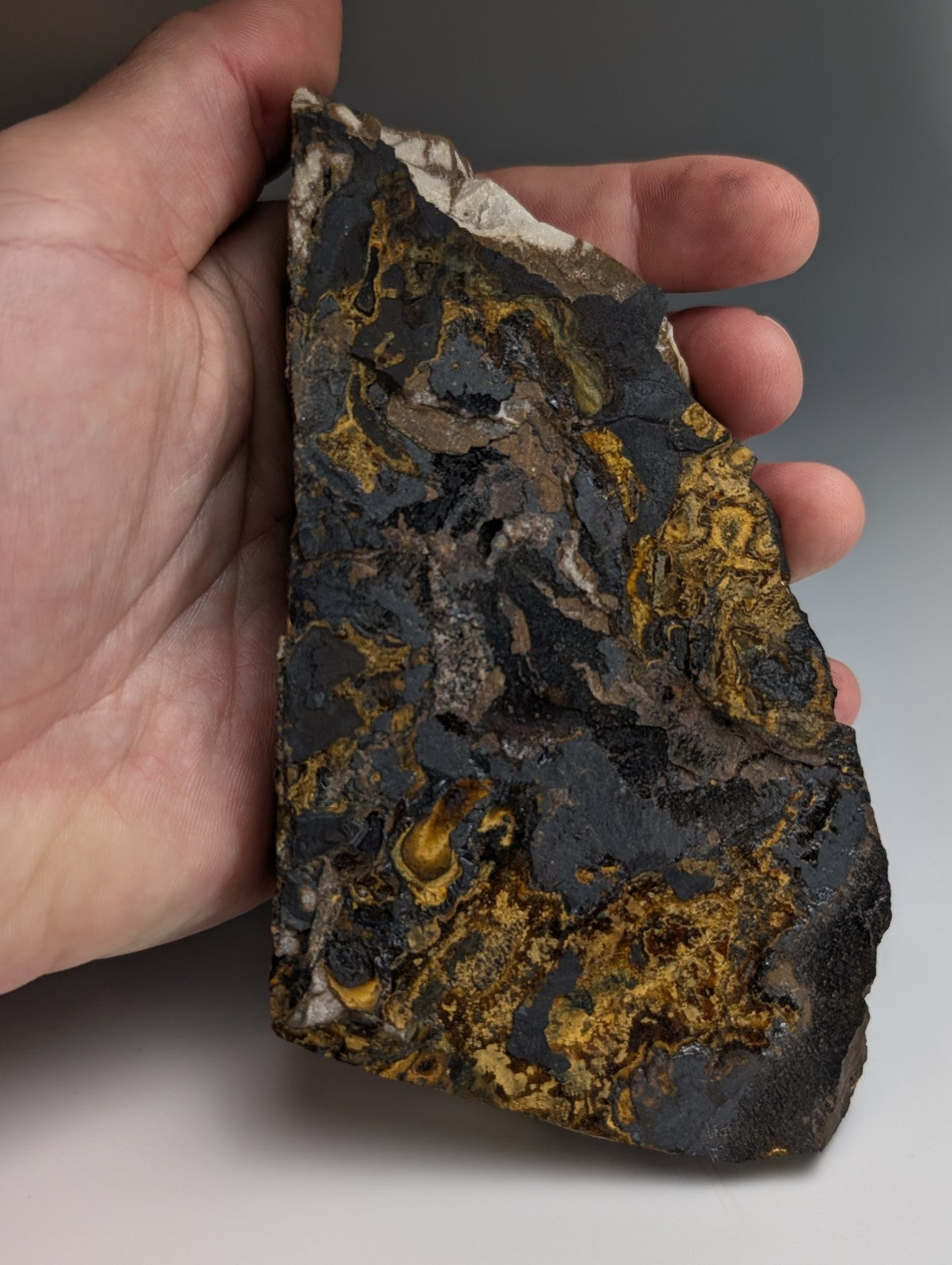 Super Rare Opal-AN, Strengite, Cacoxenite, Coon Creek Mine, Polk Co. Arkansas