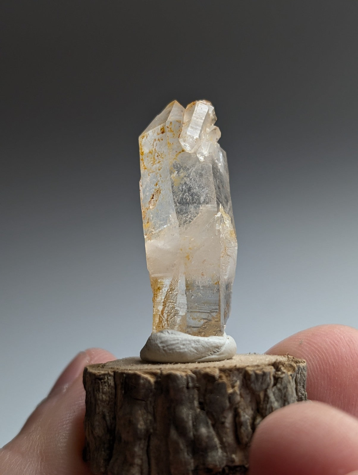 Curved Quartz, Old Stock, Montgomery County, Arkansas, w/ natural wood base