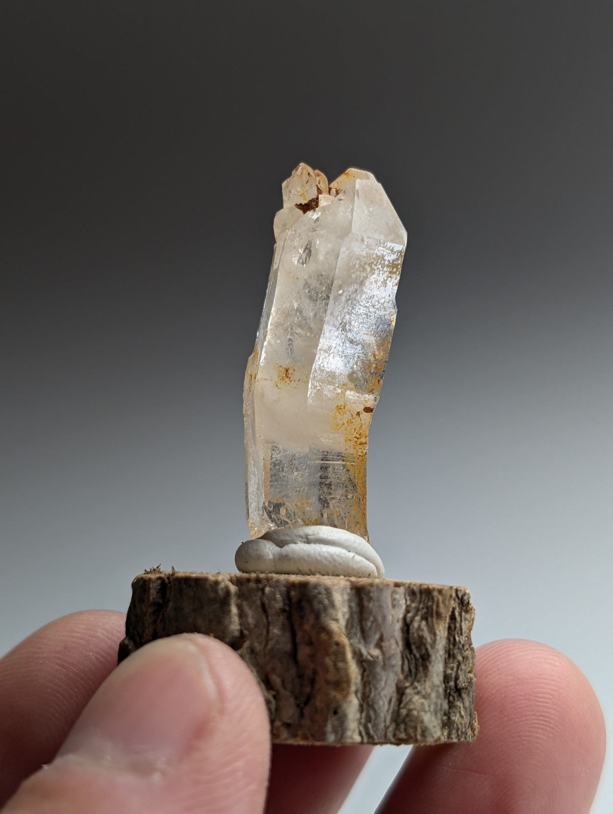 Curved Quartz, Old Stock, Montgomery County, Arkansas, w/ natural wood base