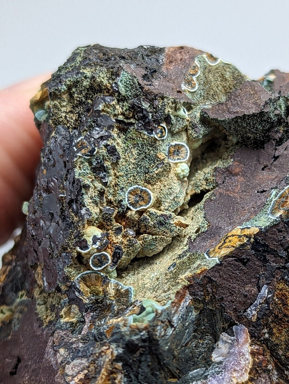 Super Rare Kidwellite, Strengite, Cacoxenite Combo -York Mine, Polk Co, Arkansas