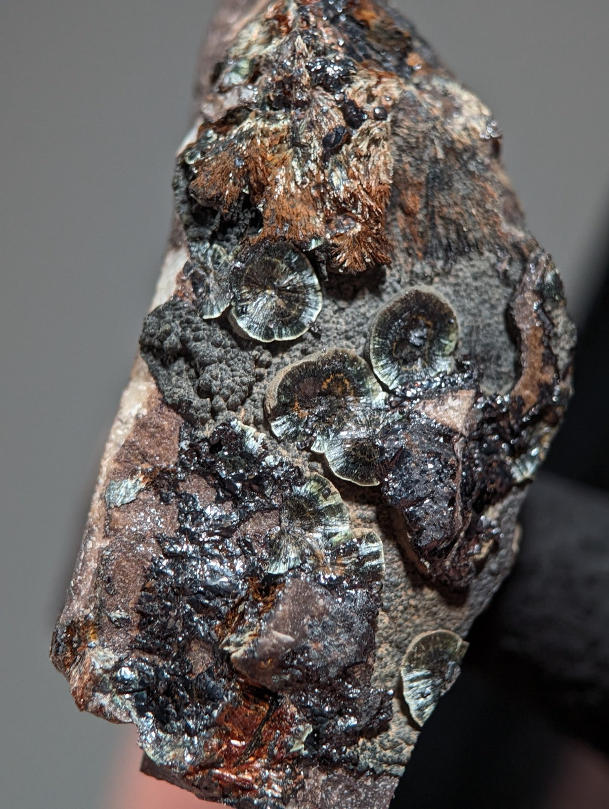 Rare Kidwellite on Novaculite - Coon Creek, Polk County, Arkansas, w/ photo case