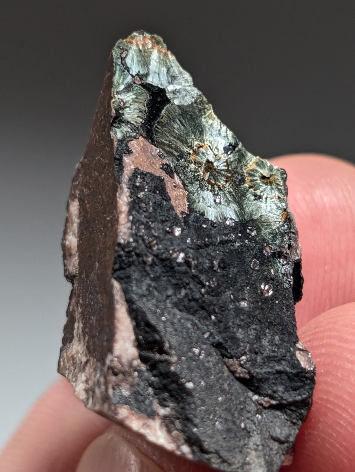 Rare Kidwellite specimen - Coon Creek Mine, Polk County, Arkansas, USA