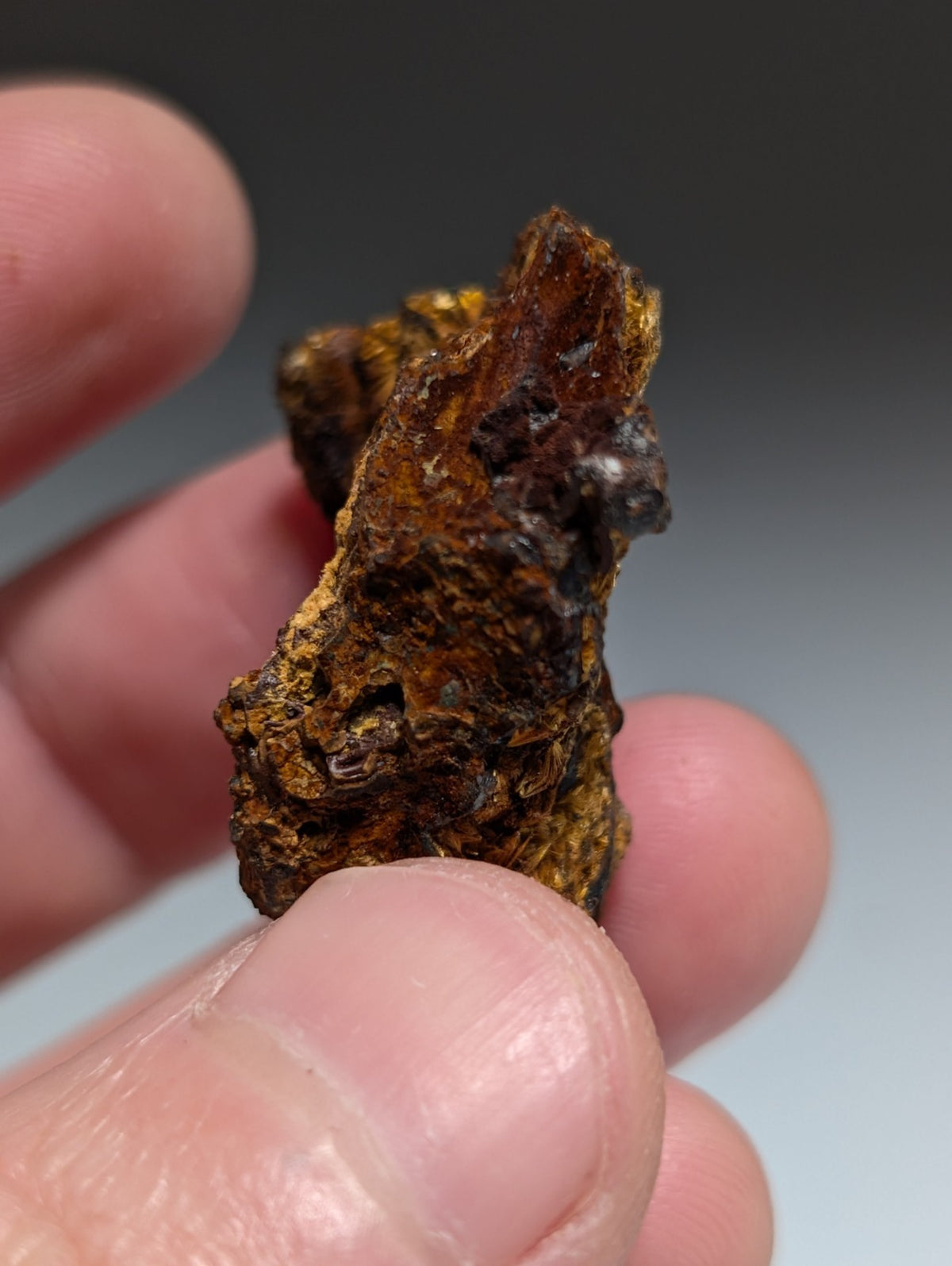 VERY RARE Strengite + Cacoxenite- Coon Creek, Polk County, Arkansas