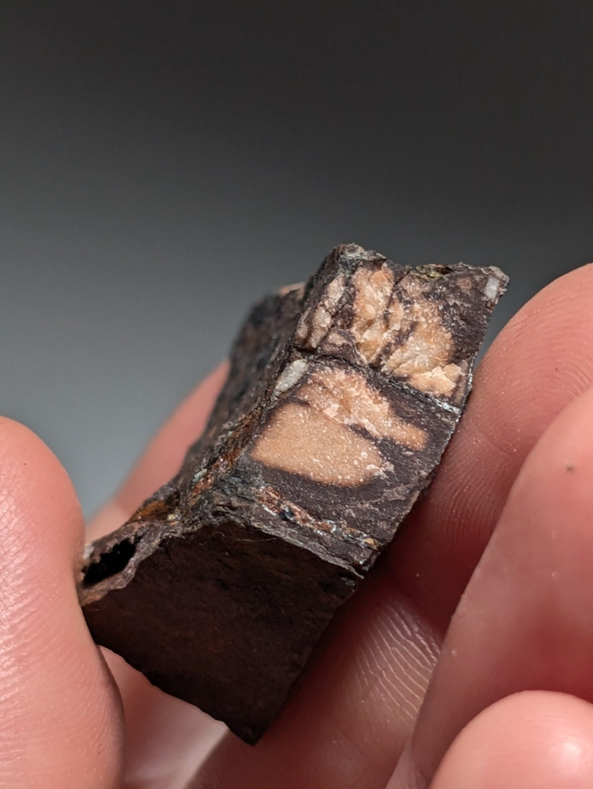 Rare Kidwellite specimen - Coon Creek Mine, Polk County, Arkansas, USA