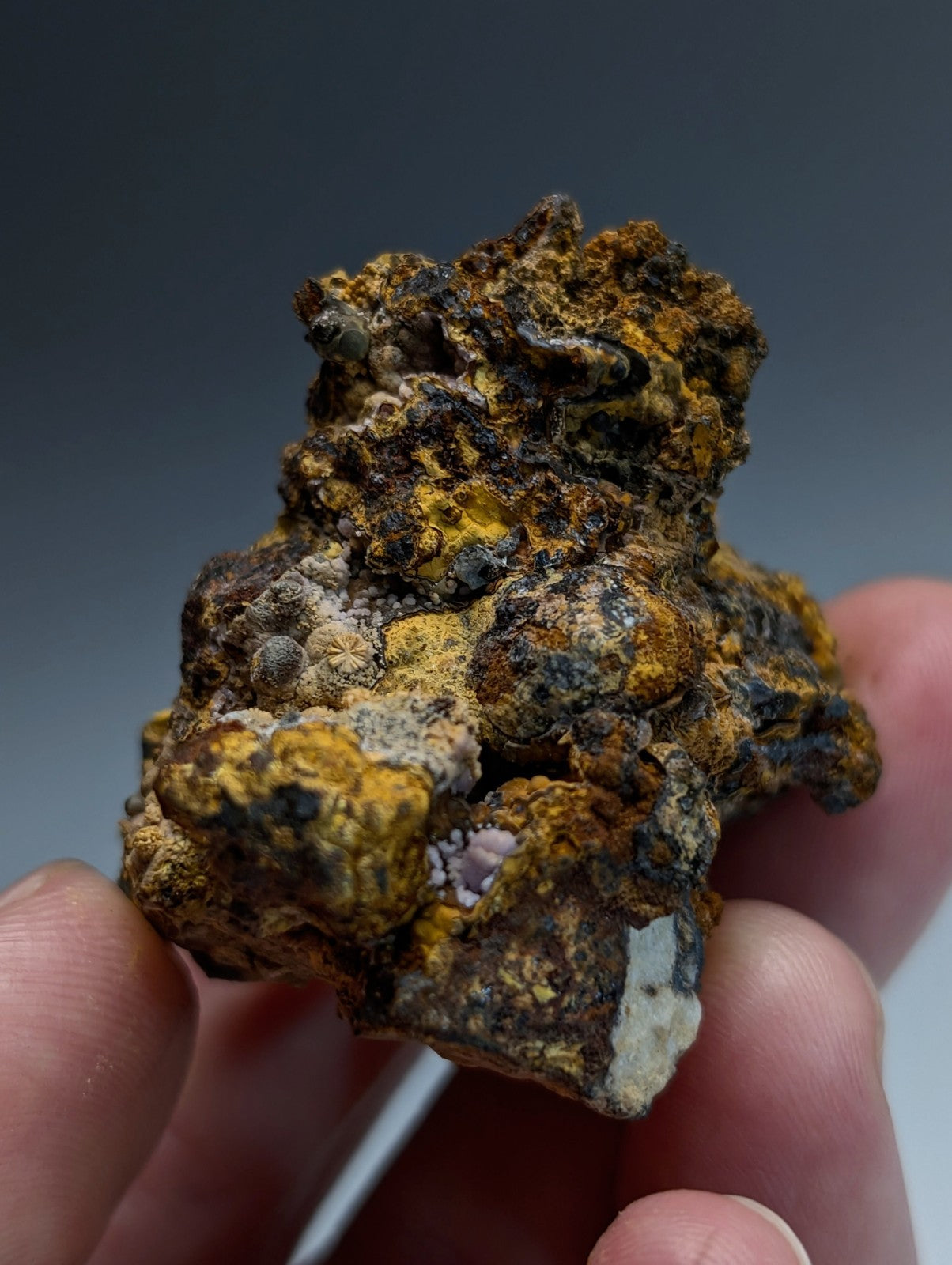 Super Rare Strengite + Cacoxenite, etc, Coon Creek Mine, Polk Co, Arkansas, USA