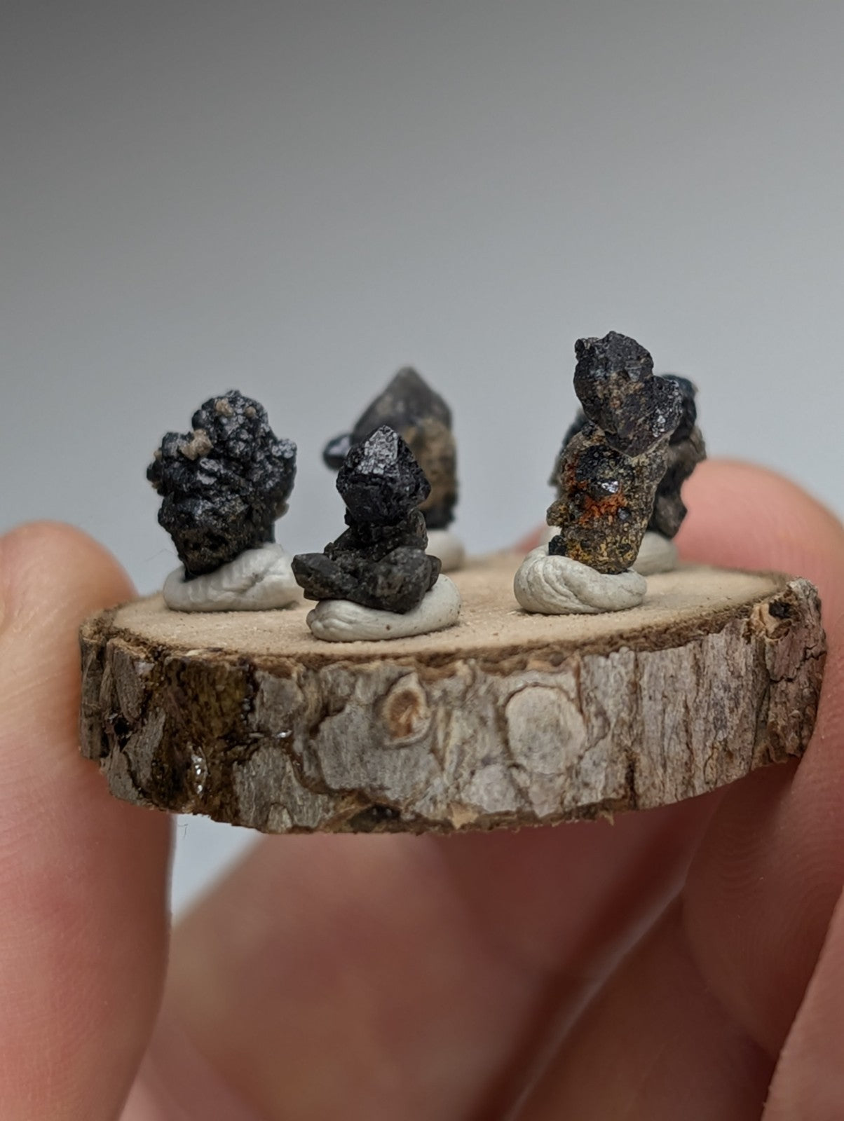 Set of 5 Brookite + Smoky Quartz, Magnet Cove, Arkansas, Old Stock, + wood stand