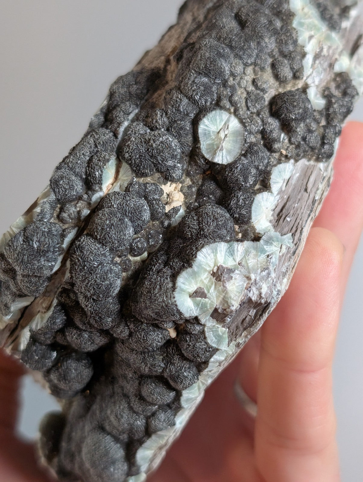 Black Wavellite - Fantastic Old Stock - Mauldin Mountain, Arkansas, USA, Rare