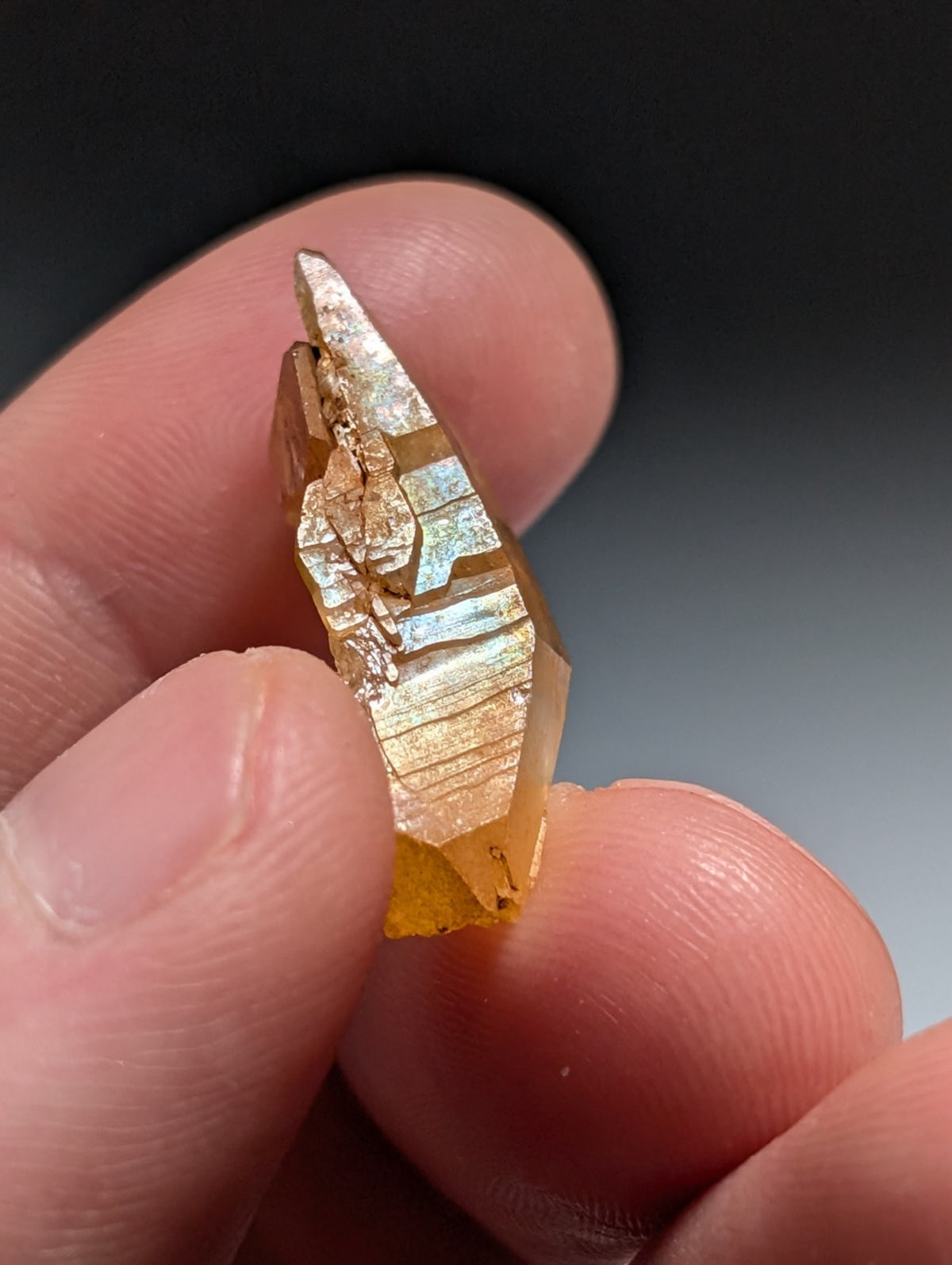 Unique Quartz Crystal Oddity, Double Terminated, Garland County, Arkansas, USA