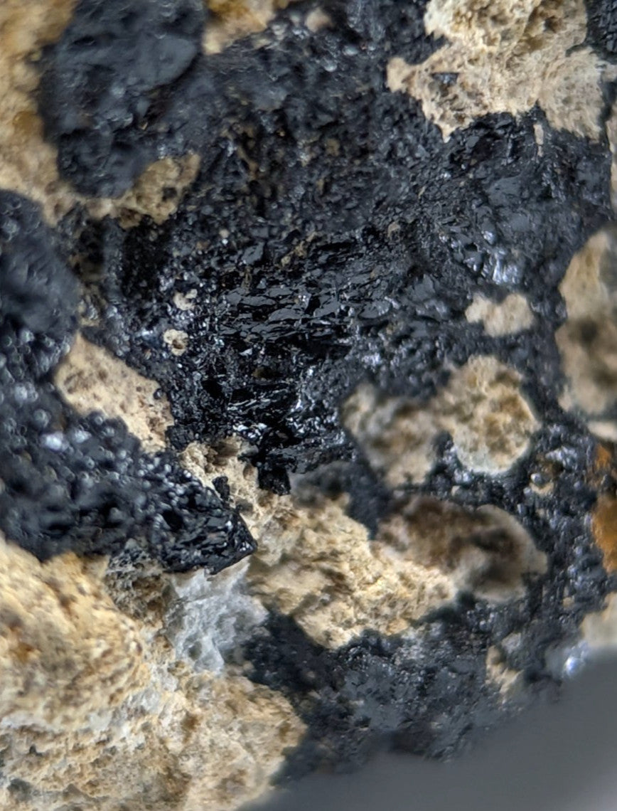 Garnet on Syenite matrix, Magnet Cove, Hot Spring County, Arkansas, Old Stock
