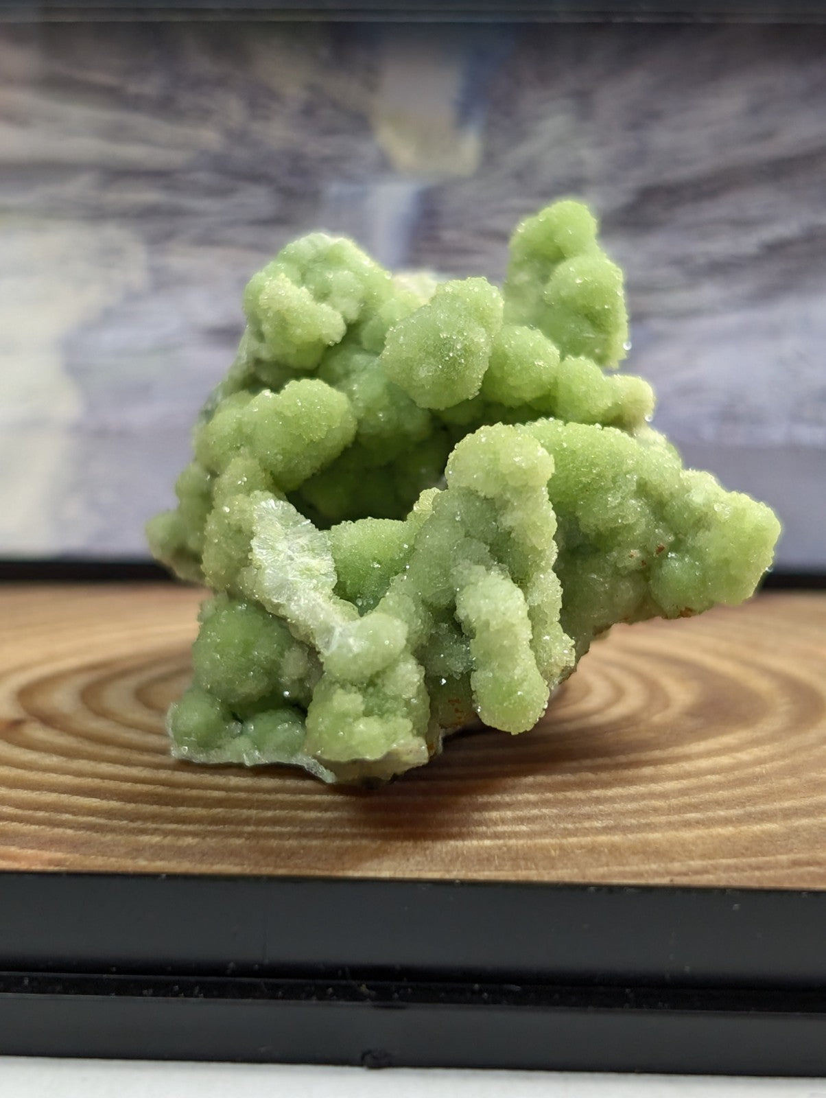 A+ FluorWavellite, w/ wood mount + photo case - Montgomery County, Arkansas