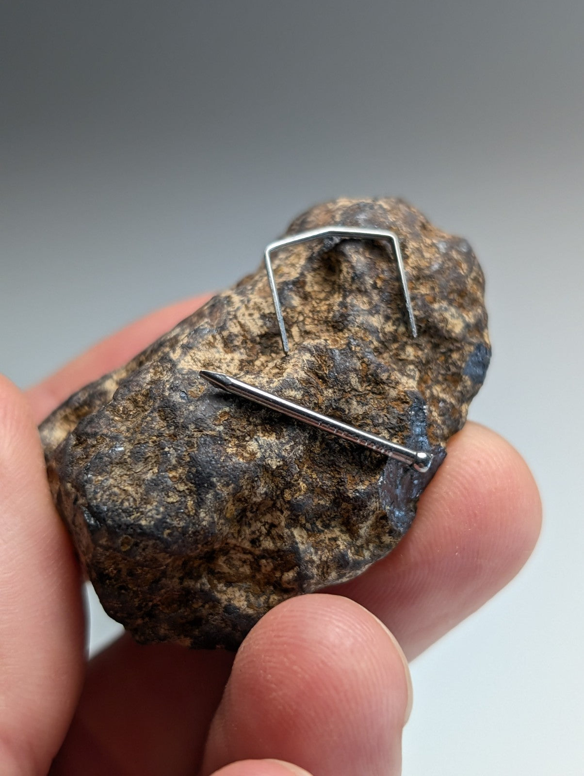 Magnetite (lodestone), Magnet Cove, Hot Spring County, Arkansas, Natural Magnet!
