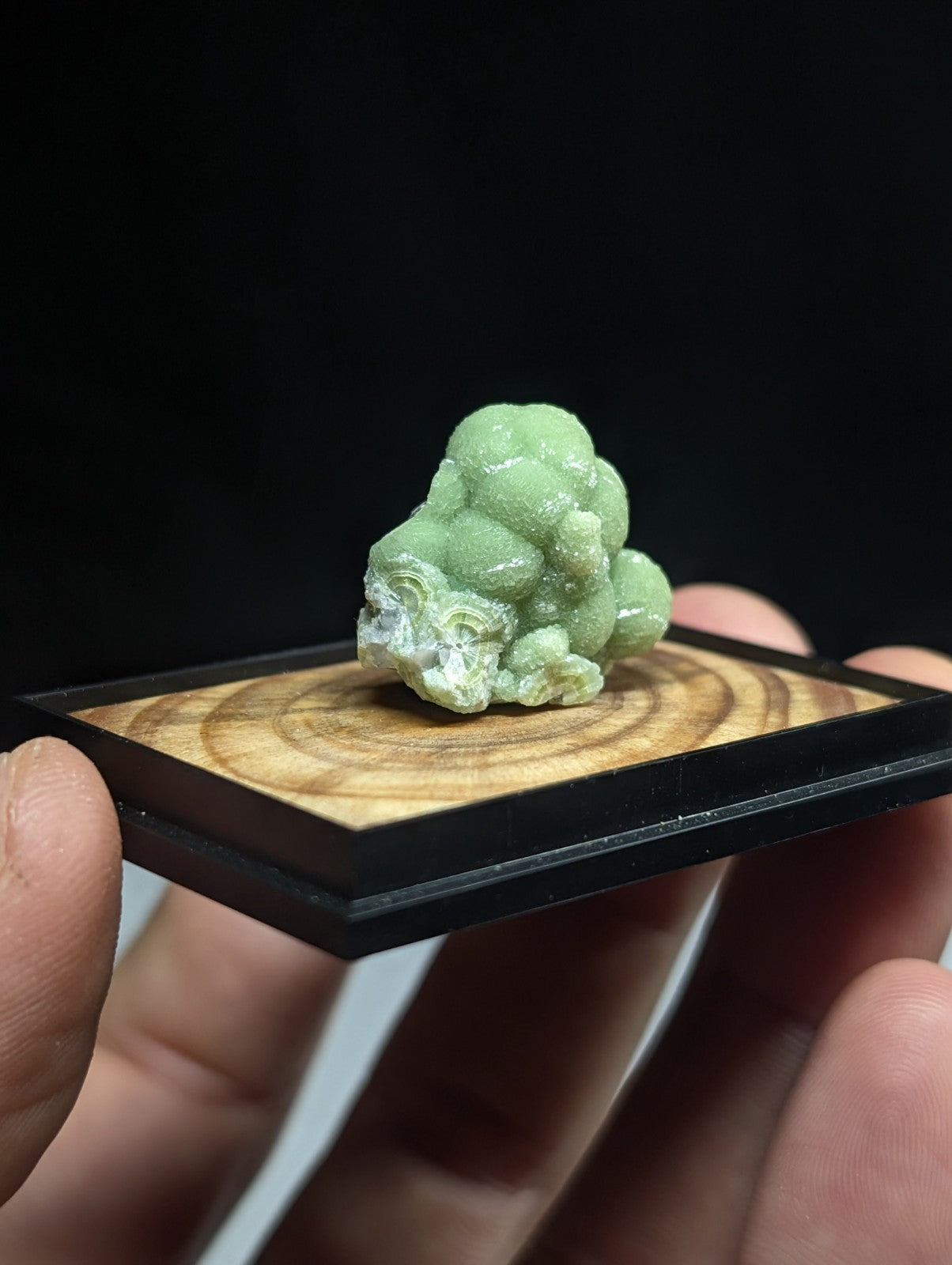 A+ Wavellite, w/ wood mount + photo case -Old Stock- Montgomery County, Arkansas