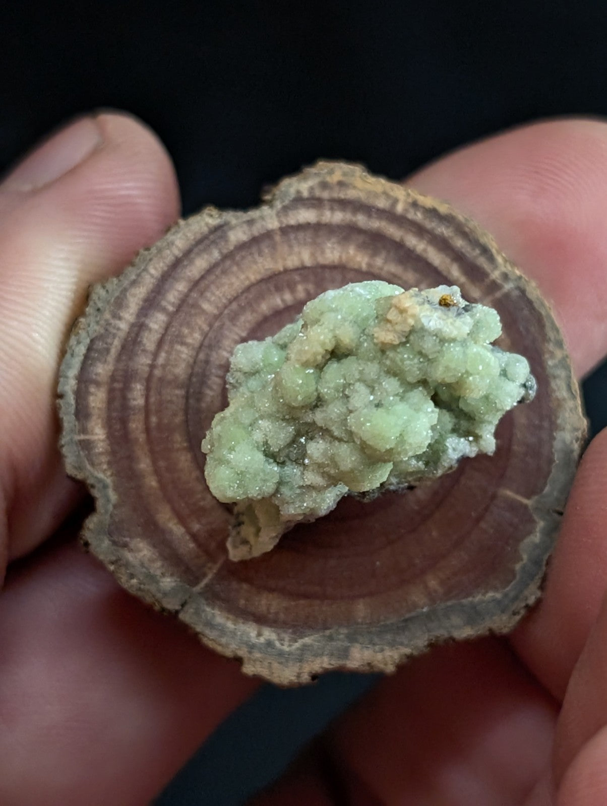 FluorWavellite, Old Stock, Montgomery County, Arkansas, w/ natural wood base